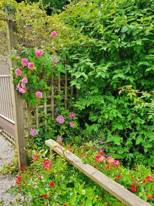 Bijou Coastal Apartment In Polperro With Hot Tub Onsite Parking Downhill Walk To Village Exterior foto